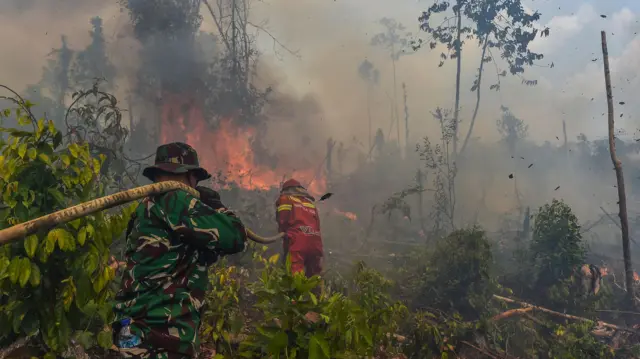 Kebakaran Hutan di Kalimantan Meluas, Kabut Asap Ganggu Aktivitas Masyarakat